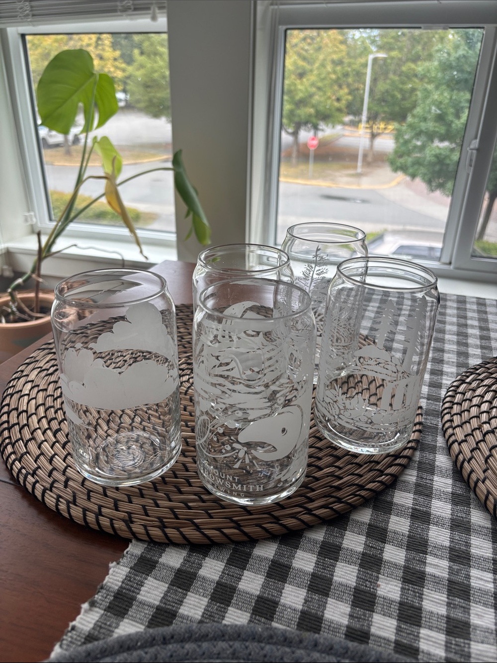 Set of 5 Beer Glass Cups